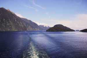 FIORDLAND-NATIONAL-PARK-2019 (262)